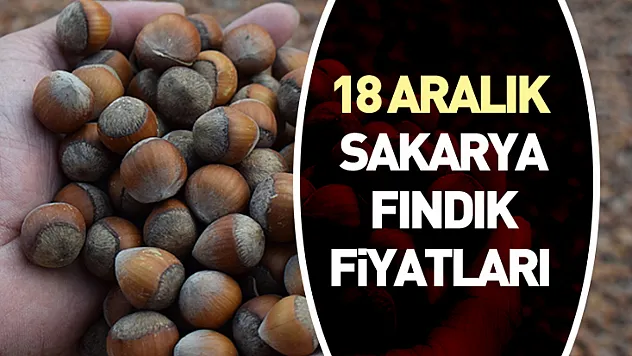 18 Aralık Sakarya Fındık Fiyatları | Marmara Etkisiyle Güçlü Görünüm