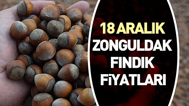 18 Aralık Zonguldak Fındık Fiyatları | Sınırlı Arz Küçük Hareketlere Açık