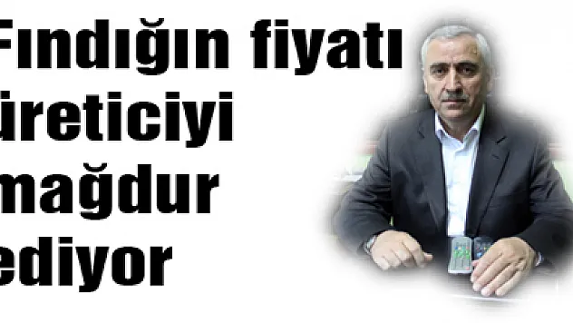 Fındığın fiyatı üreticiyi mağdur ediyor