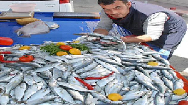  Çinakopun Kilosu 15 Liraya Düştü