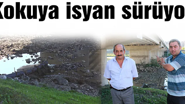 Kokuya isyan sürüyor