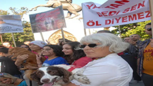 Hayvanseverler Tasarıyı Protesto Etti 
