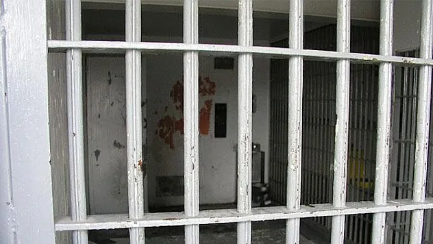 Hayvana işkenceye hapis cezası