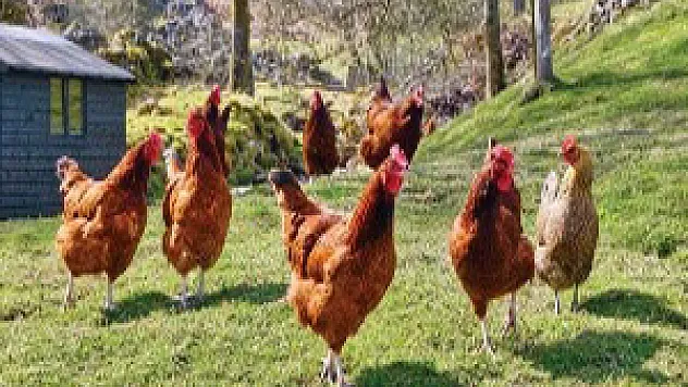 Türk bilim adamlarından inanılmaz buluş