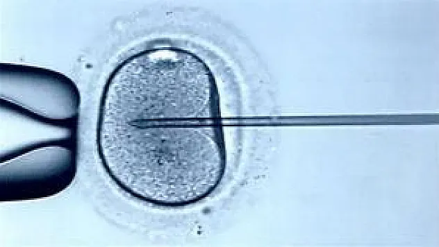 Yoksula tüp bebek müjdesi!