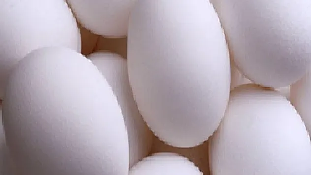 ''Tavuk yumurtası rekor kırdı''