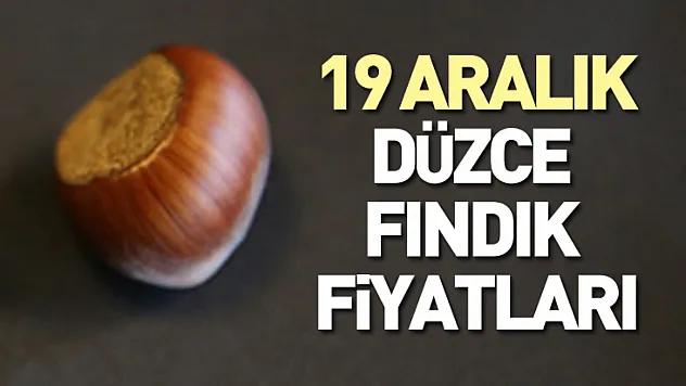 19 Aralık Düzce Fındık Fiyatları | Akçakoca Talebi Piyasaya Yön Veriyor