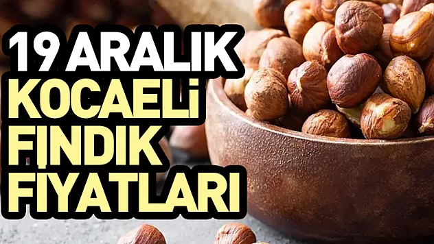 19 Aralık Kocaeli Fındık Fiyatları