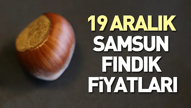 19 Aralık Samsun Fındık Fiyatları | Denge Korunuyor, Bekleyiş Sürüyor