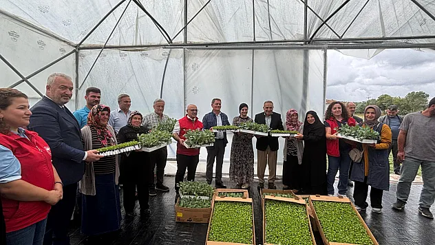 19 Mayıs Belediyesi'nden tarıma can suyu: Üreticilere kışlık fide desteği