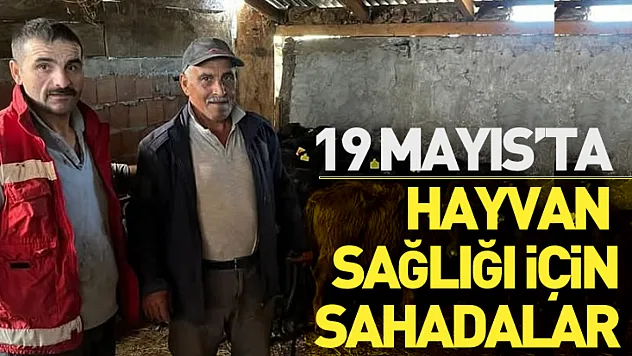 19 Mayıs'ta Hayvan Sağlığı İçin Sahadalar