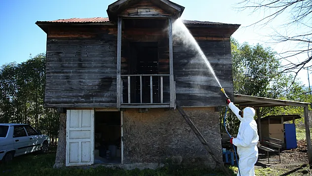 19 Mayıs'ta kahverengi kokarca ile mücadele sürüyor