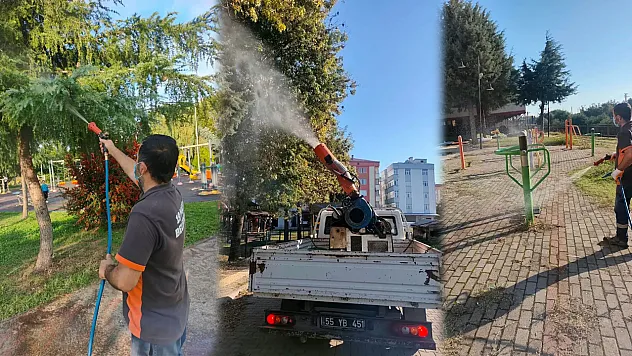 19 Mayıs'ta kahverengi kokarcaya karşı mücadele