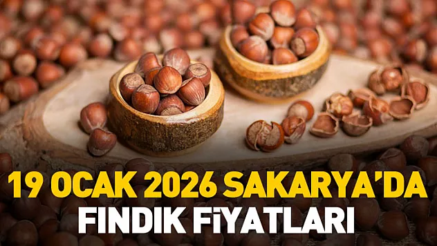 19 Ocak 2026 Sakarya'da Fındık Fiyatları