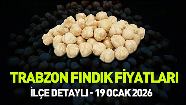 19 Ocak 2026 Trabzon'da Fındık Fiyatları