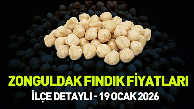19 Ocak 2026 Zonguldak'ta Fındık Fiyatları