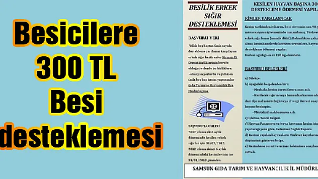 Beside Dikkat Edilmesi Gereken Püf Noktalar