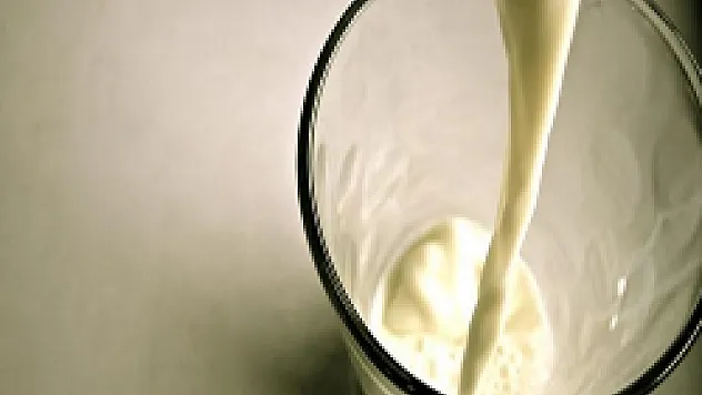 Süt, obezite riskini azaltıyor