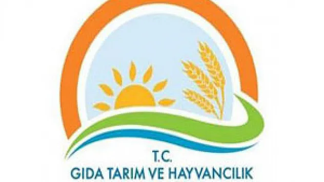 İnternette satışa sıkı takip