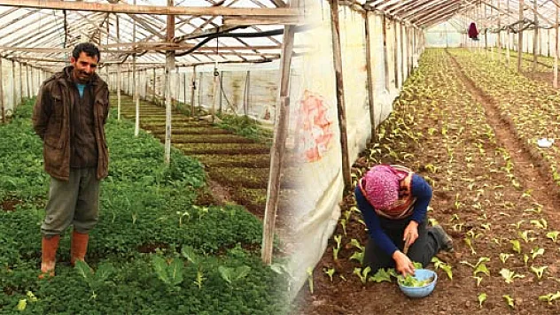 Onun Bahçesinde yok yok  