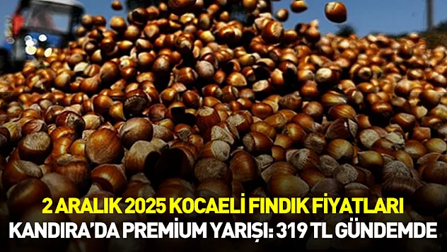2 Aralık 2025 Kocaeli Fındık Fiyatları | Kandıra'da Premium Yarışı: 319 TL Gündemde