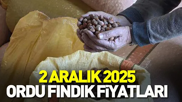 2 Aralık 2025 Ordu Fındık Fiyatları | Zirveye Yolculuk: 338 TL Konuşuluyor