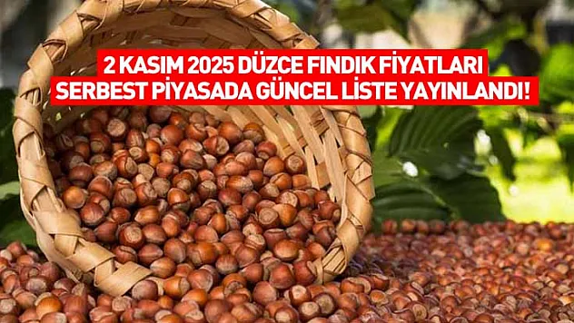2 Kasım 2025 Düzce Fındık Fiyatları: Serbest Piyasada Güncel Liste Yayınlandı!