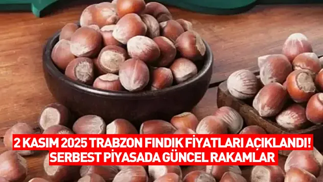 2 Kasım 2025 Trabzon Fındık Fiyatları Açıklandı! Serbest Piyasada Güncel Rakamlar