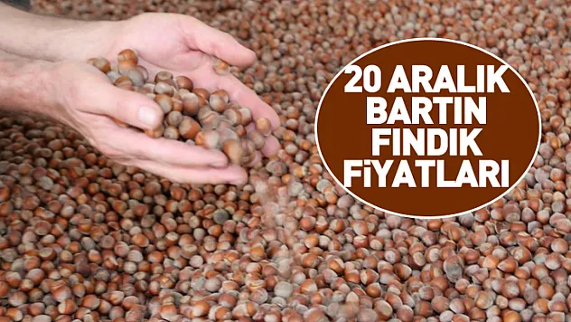 20 Aralık Bartın Fındık Fiyatları | Yıl Sonu Yaklaşırken Piyasa Sessiz ama Dirençli