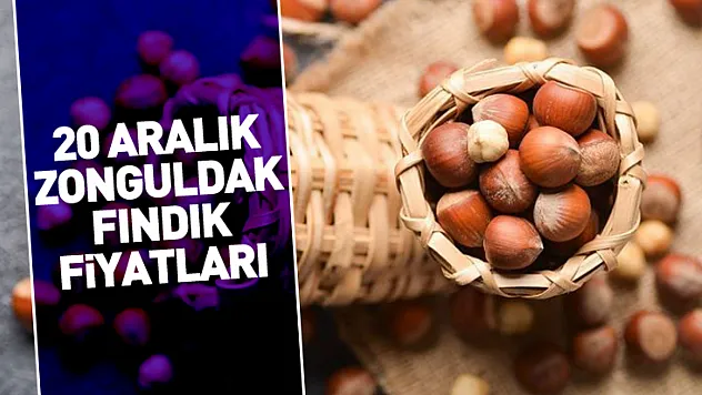 20 Aralık Zonguldak Fındık Fiyatları | Hafta Ortasında Sıkışan Piyasa Çözülmeyi Bekliyor