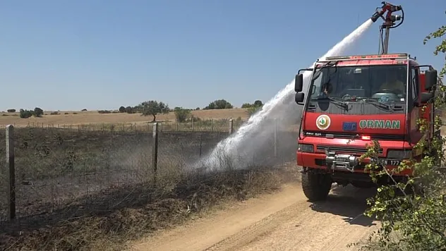 20 dekar ceviz bahçesi yandı