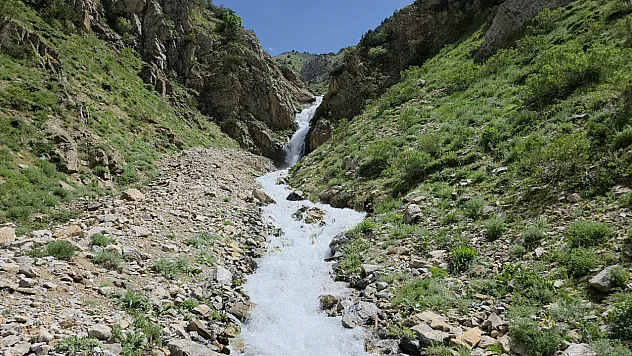 20 yıl sonra yeniden akmaya başladı: Çatak'taki doğal su kaynağı canlandı