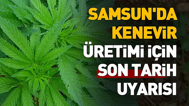 2026 Yılı Kenevir Üretimi Başvuruları Başladı