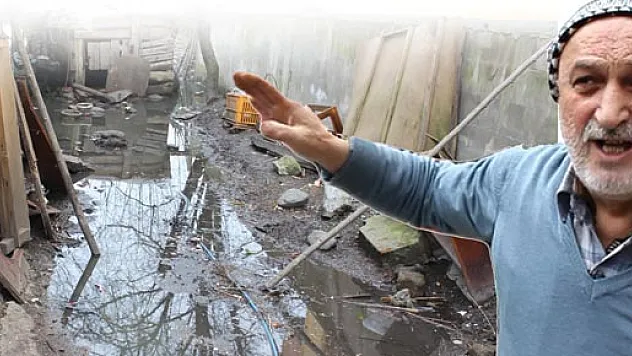 Çarşamba'da kanalizasyon sorunu çığ gibi büyüyor