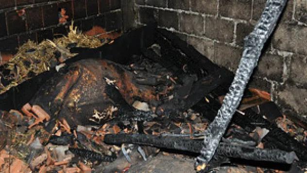 Yanginda 4 büyükbaş hayvan telef oldu