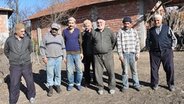 Samsun'da Koyunlarda Çiçek Salgını