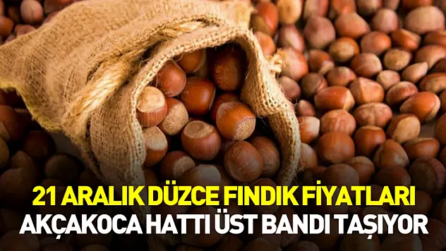 21 Aralık Düzce Fındık Fiyatları | Akçakoca Hattı Üst Bandı Taşıyor