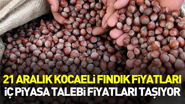 21 Aralık Kocaeli Fındık Fiyatları | İç Piyasa Talebi Fiyatları Taşıyor