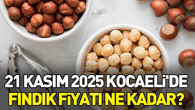 21 Kasım 2025 Kocaeli'de fındık fiyatı ne kadar?