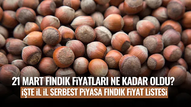 21 Mart Fındık Fiyatları Ne Kadar Oldu? İşte İl İl Serbest Piyasa Fındık Fiyat Listesi