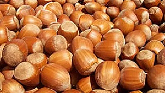 Tehlikenin Tek Çaresi Sigorta