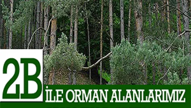 2B İLE ORMAN ALANLARIMIZ AZALMIYOR,ARTIYOR