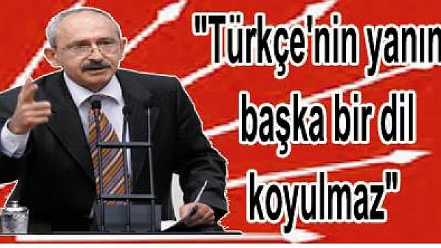 'Türkçe'nin yanına başka bir dil koyulmaz'