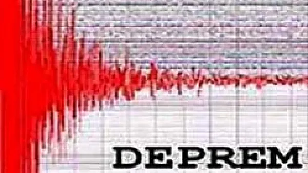 DEPREM PANİĞE NEDEN OLDU...