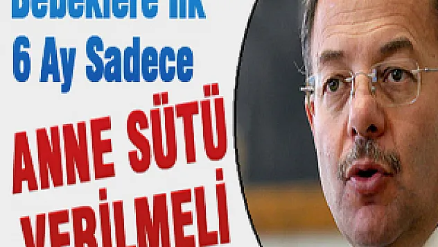 Bebeklere İlk 6 Ay Sadece Anne Sütü Verilmeli