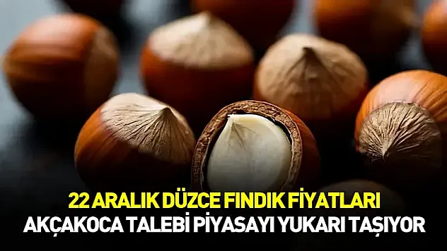 22 Aralık Düzce Fındık Fiyatları | Akçakoca Talebi Piyasayı Yukarı Taşıyor