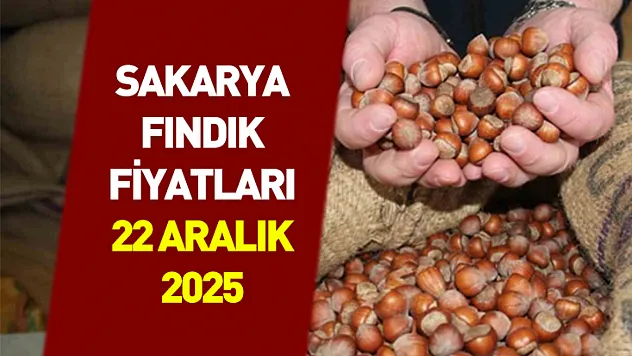 22 Aralık Sakarya Fındık Fiyatları | Marmara Talebi Fiyatları Ayakta Tutuyor