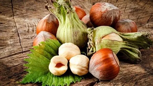 22 Kasım 2025 Giresun'da Fındık Piyasası |Son Fiyatlar ne kadar?