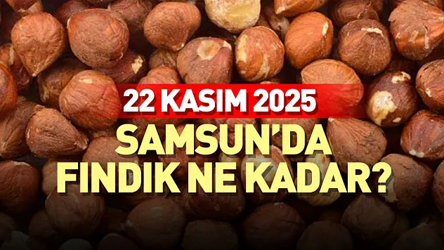 22 Kasım 2025 - Samsun'da Fındık Fiyatları Ne Kadar? | İşte Bugünün Rakamları!