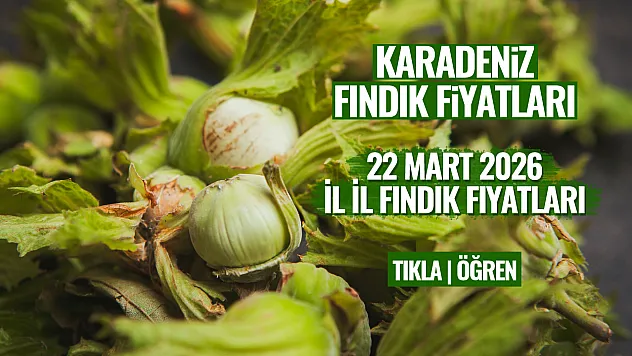 22 Mart İl İl Fındık Fiyatları: Giresun, Ordu, Samsun'da Fındık Kaç TL?